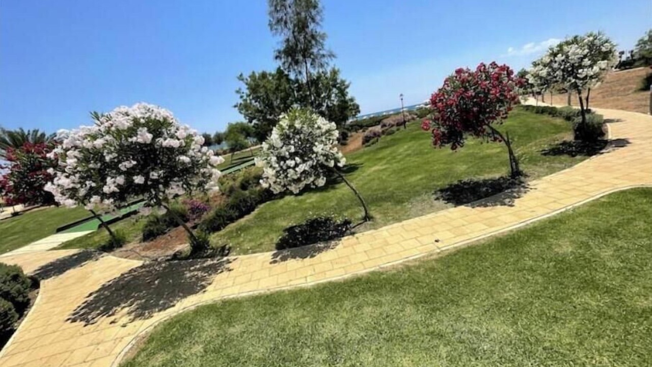 Photo of Outdoor in Bafra