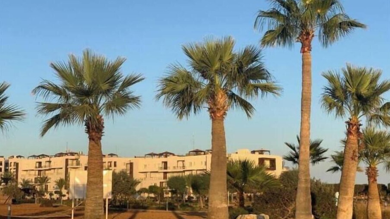 Photo of Outdoor in Bafra