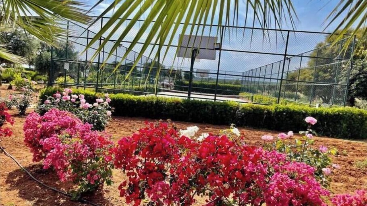 Photo of Outdoor in Bafra