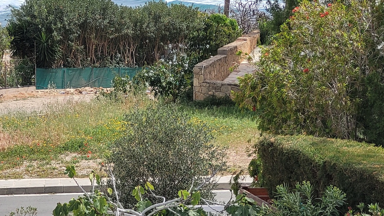 Photo of Outdoor in Chlorakas