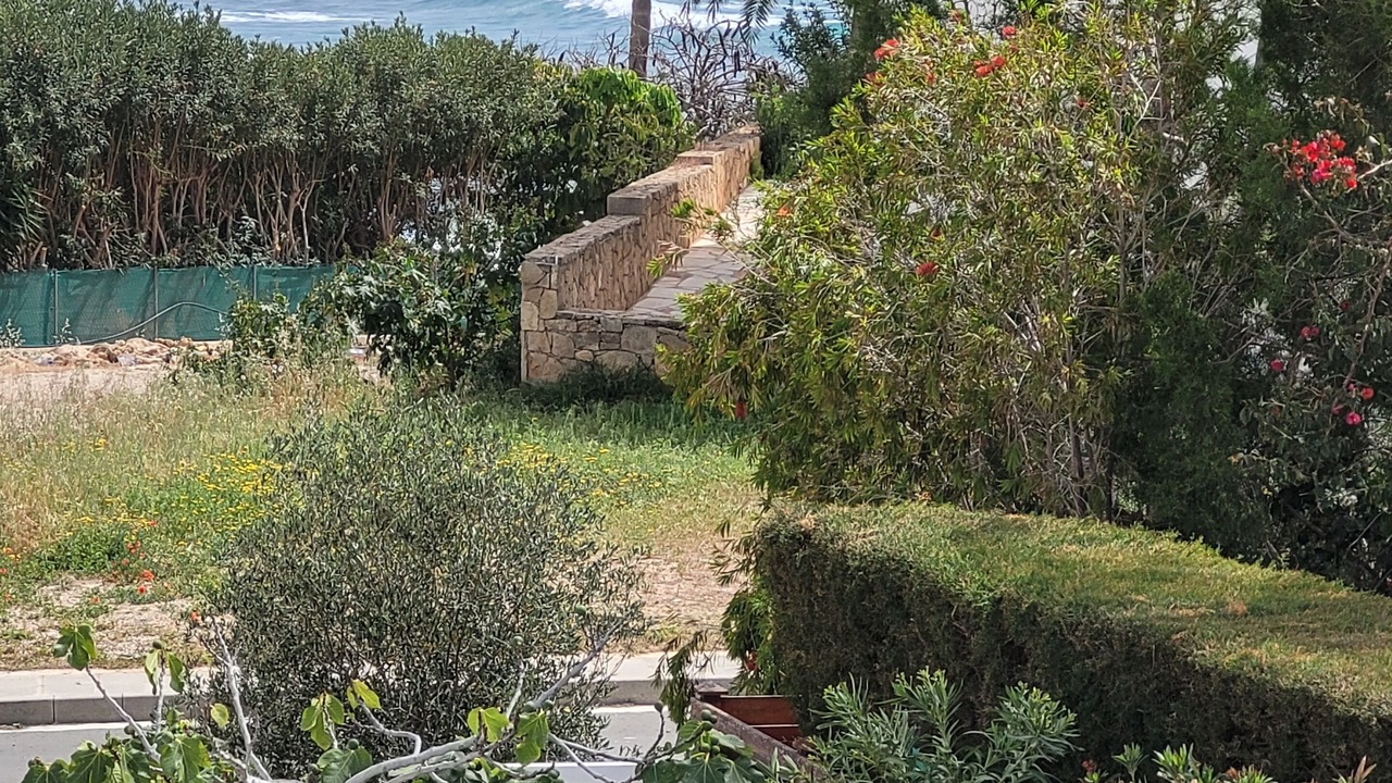 Photo of Outdoor in Chlorakas