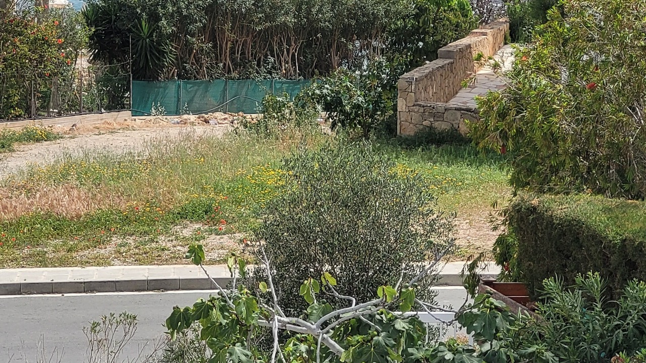Photo of Outdoor in Chlorakas