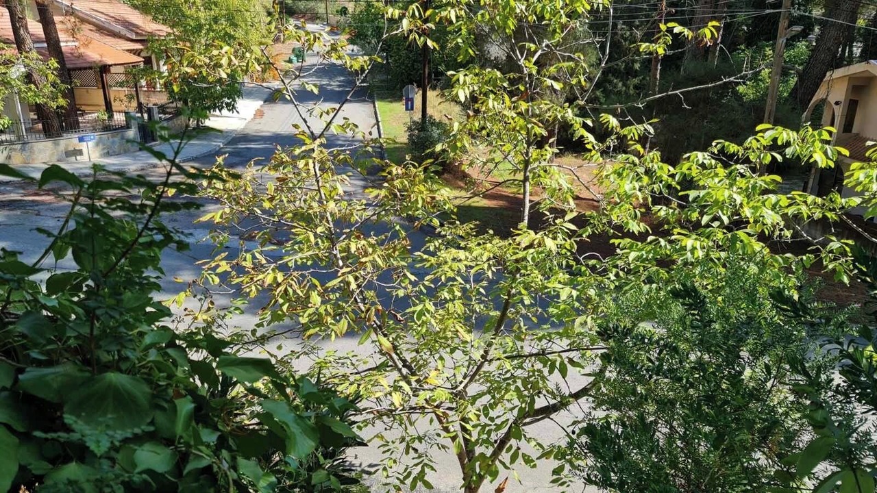 Photo of Outdoor in Saittas