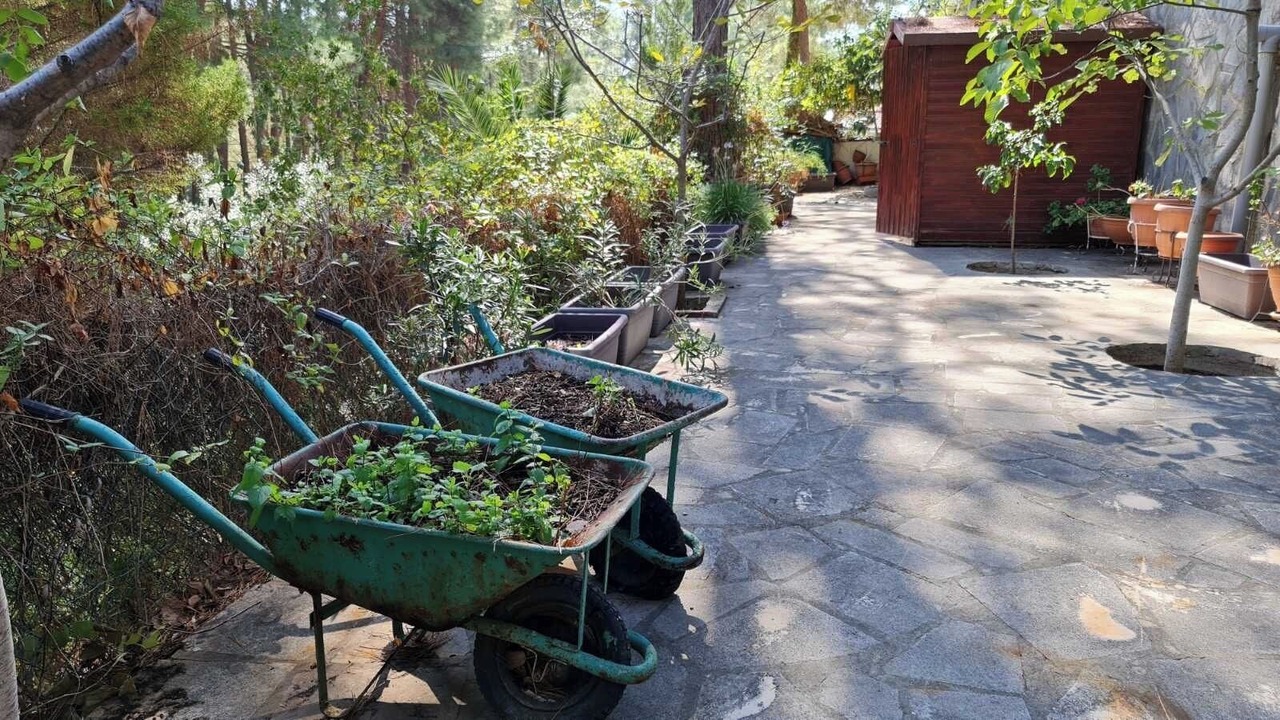 Photo of Outdoor in Saittas