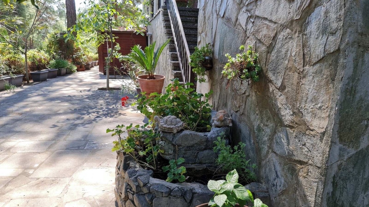 Photo of Outdoor in Saittas