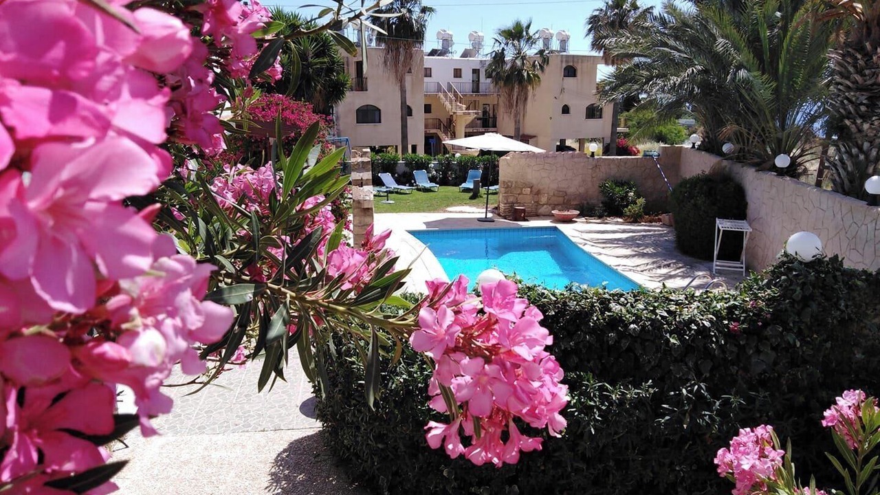 Photo of Outdoor in Pegeia