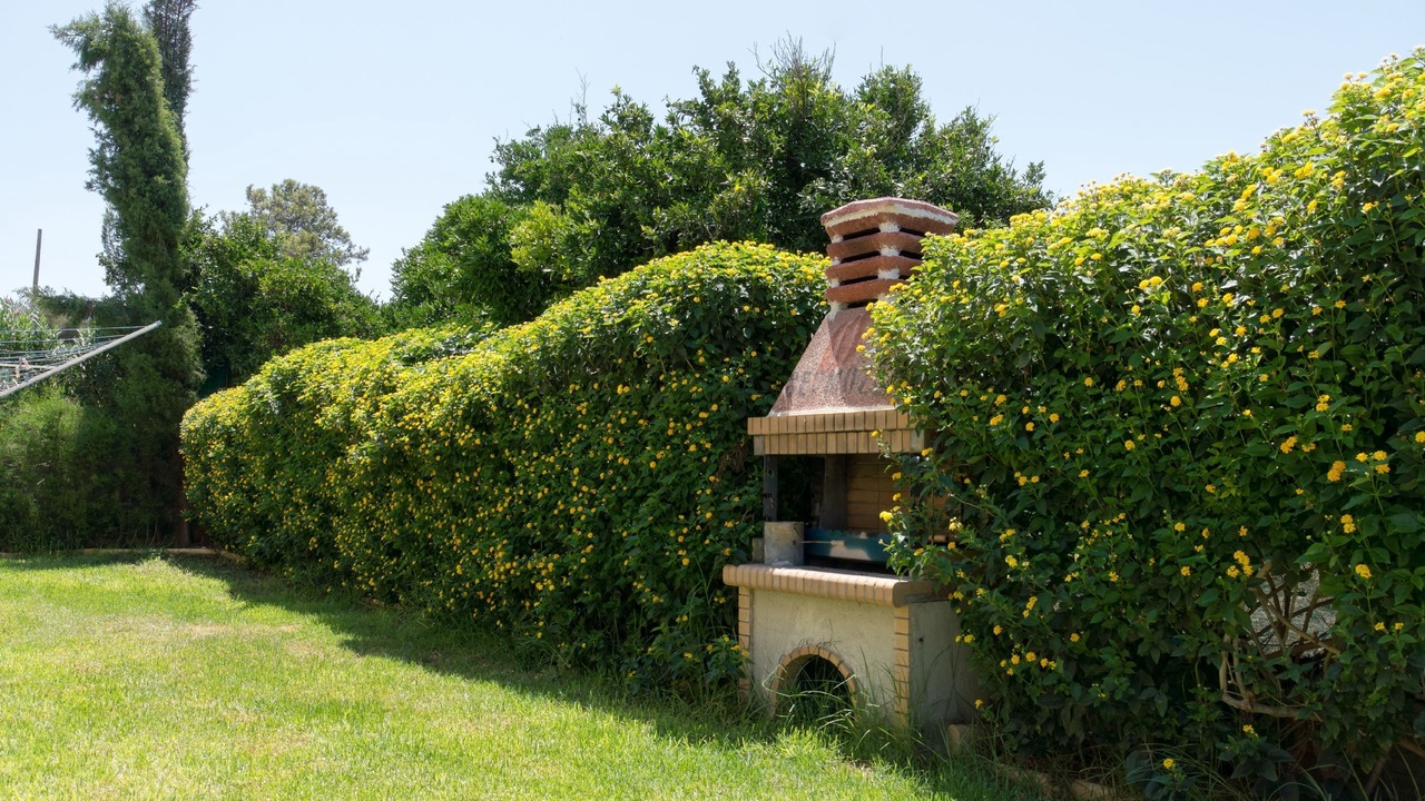 Photo of Outdoor in Argaka
