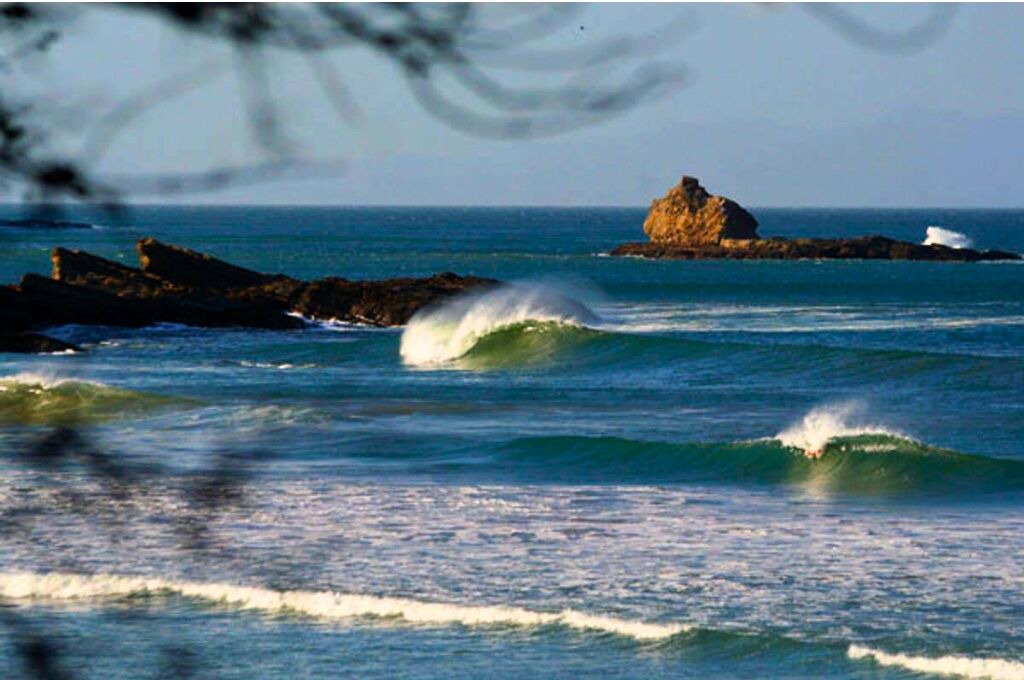 Photo of Others in San Juan del Sur