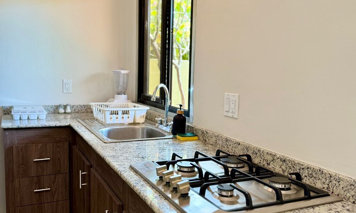 Photo of Kitchen in Leon
