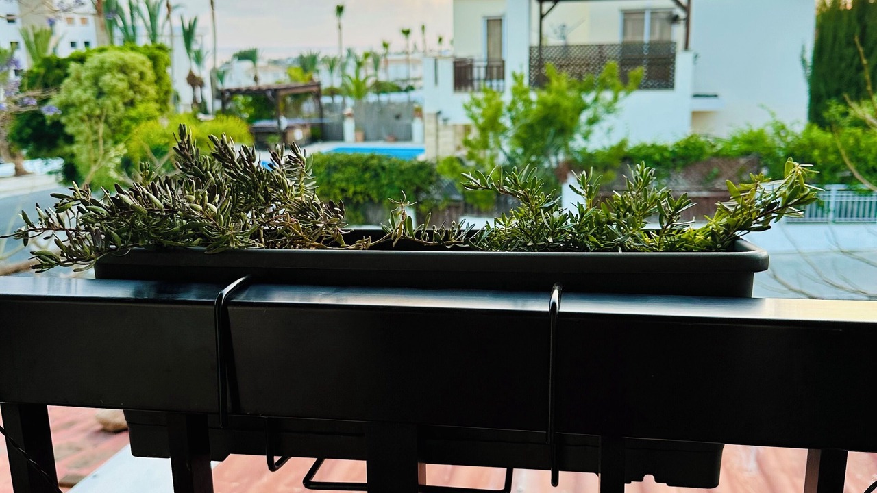 Photo of Outdoor in Pegeia