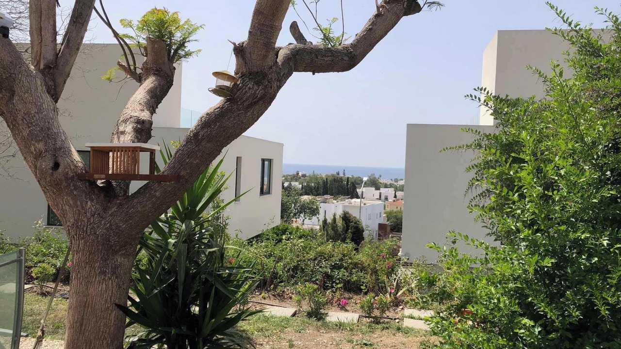 Photo of Outdoor in Chlorakas