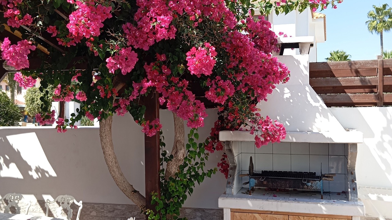 Photo of Outdoor in Ayia Napa