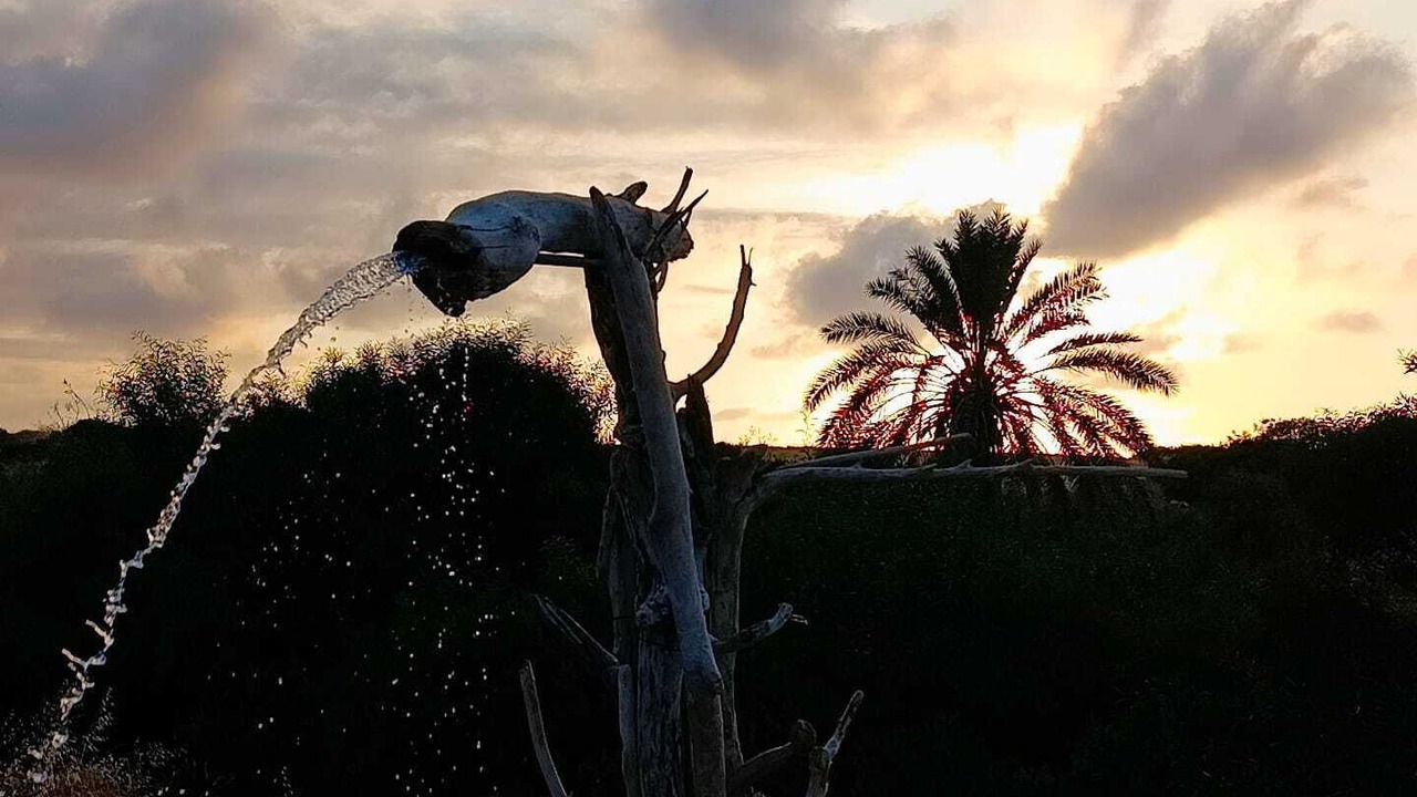 Photo of Others in Cape Greko