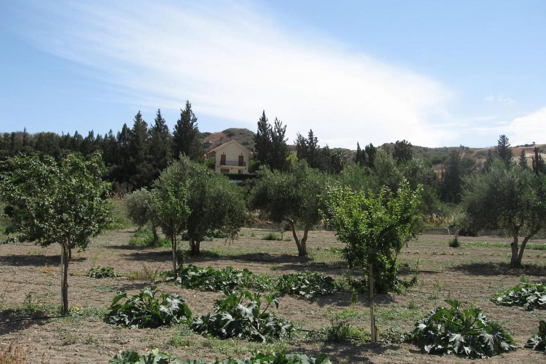 Photo of Others in Pissouri
