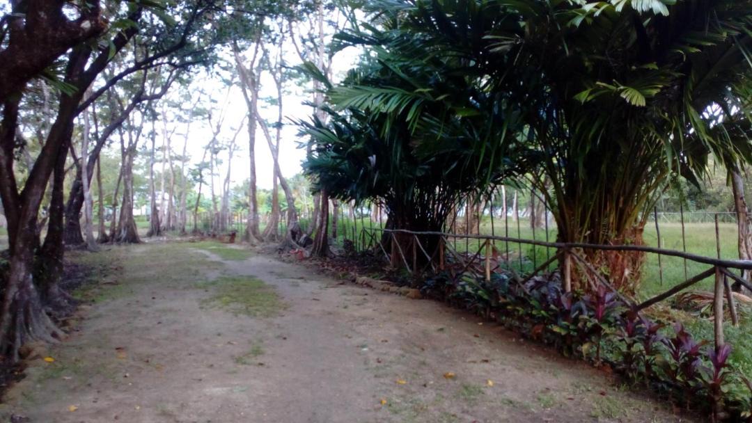 Photo of Buildings in Pearl Lagoon