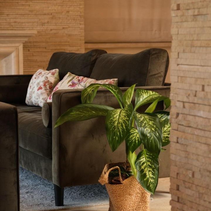Photo of Livingroom in Kornos