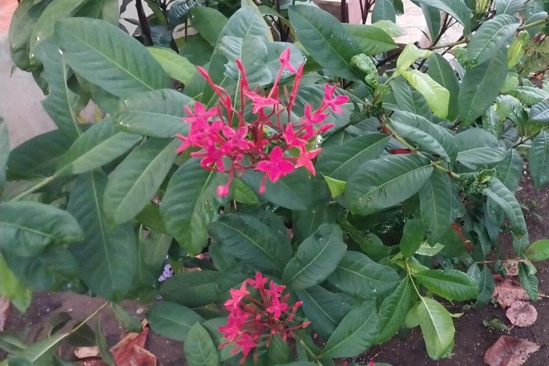 Photo of Outdoor in Pochomil
