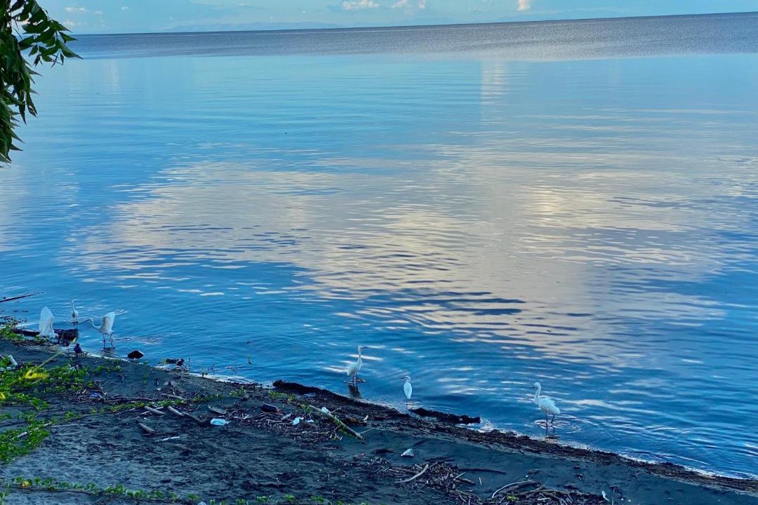 Photo of Others in Santa Cruz