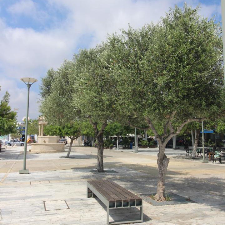 Photo of Others in Geroskipou