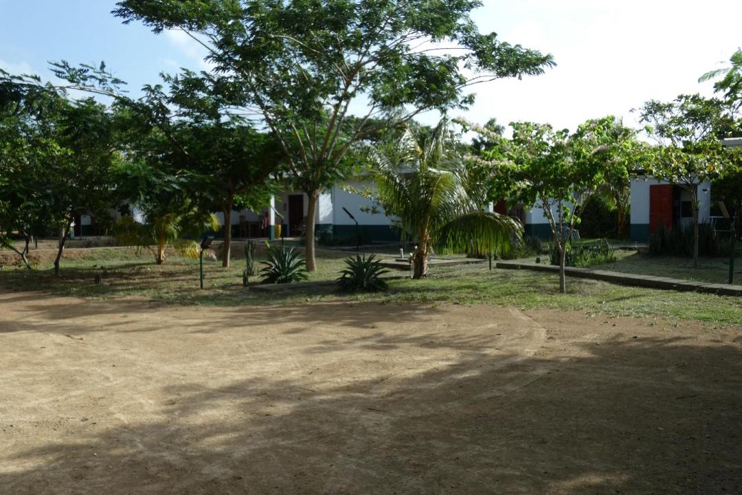 Photo of Others in Jiquelite