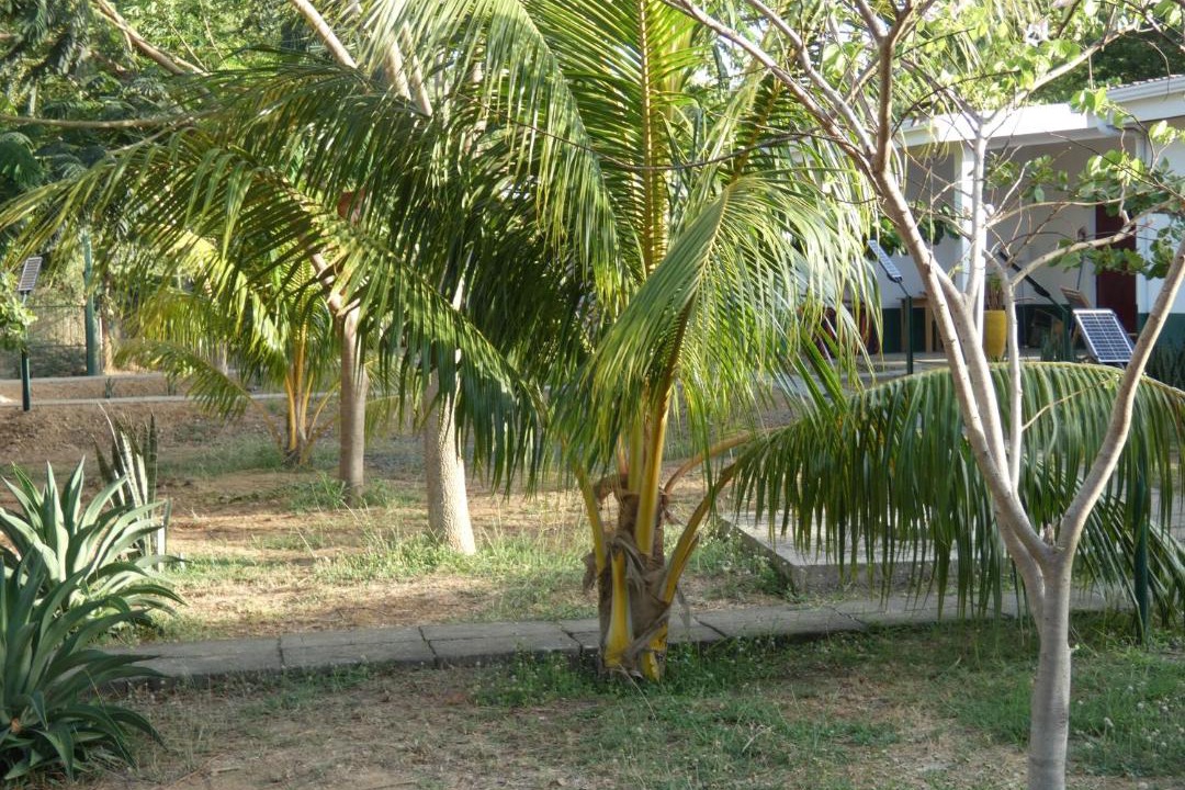 Photo of Others in Jiquelite