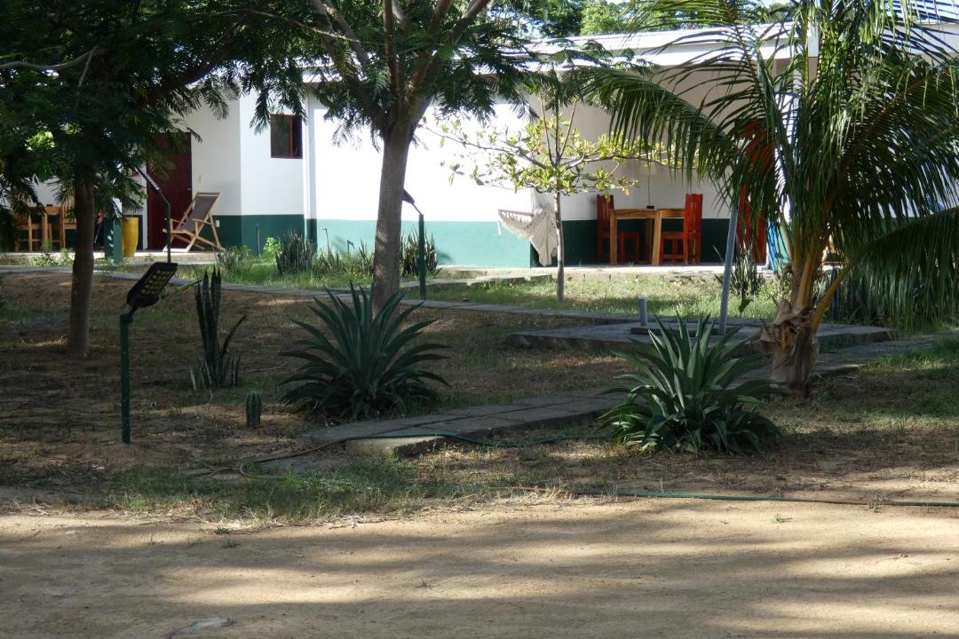 Photo of Others in Jiquelite