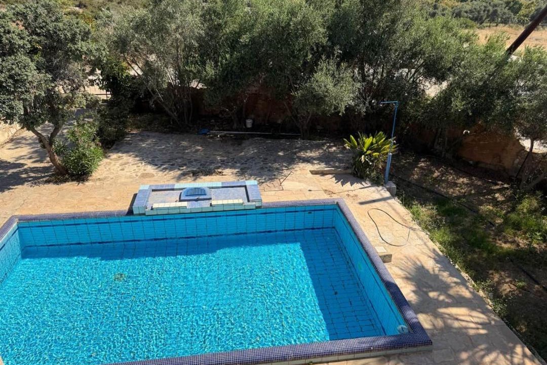 Photo of Others in Agios Georgios Pegeias