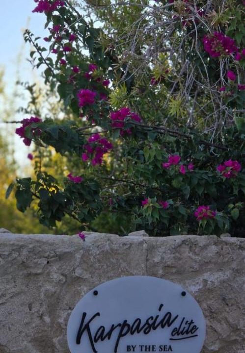 Photo of Others in Esentepe