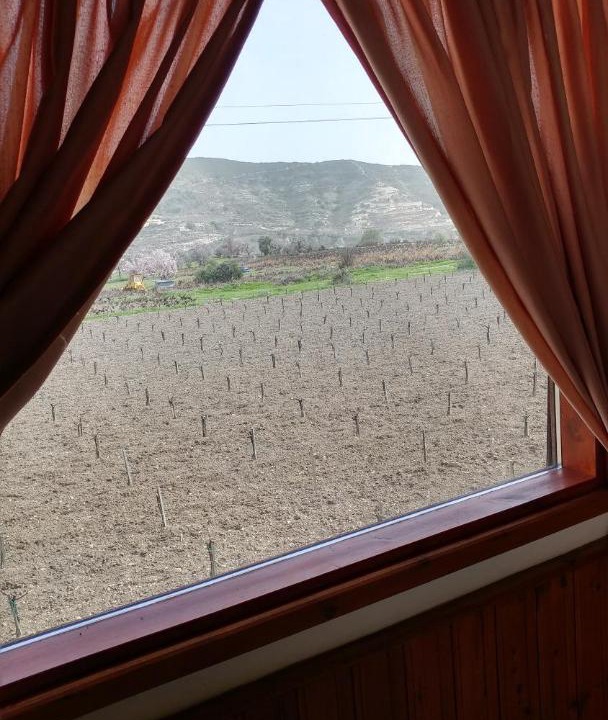 Photo of Others in Omodos