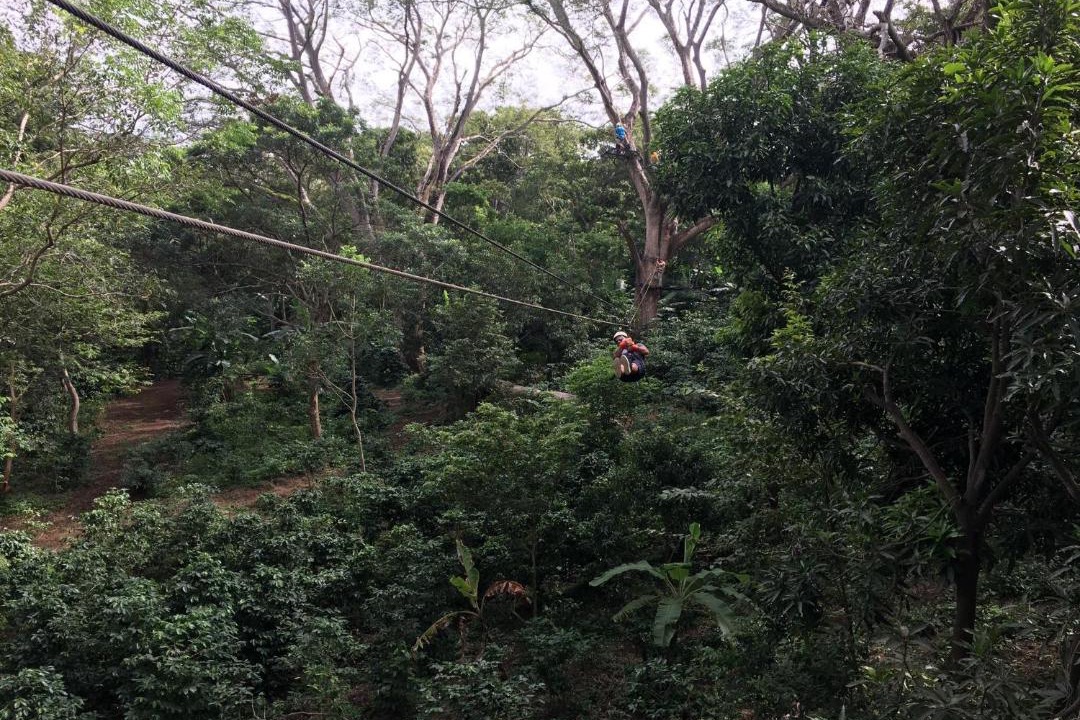 Photo of Others in Mombacho Volcano Nature Reserve
