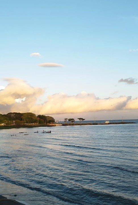 Photo of Others in Ometepe Island