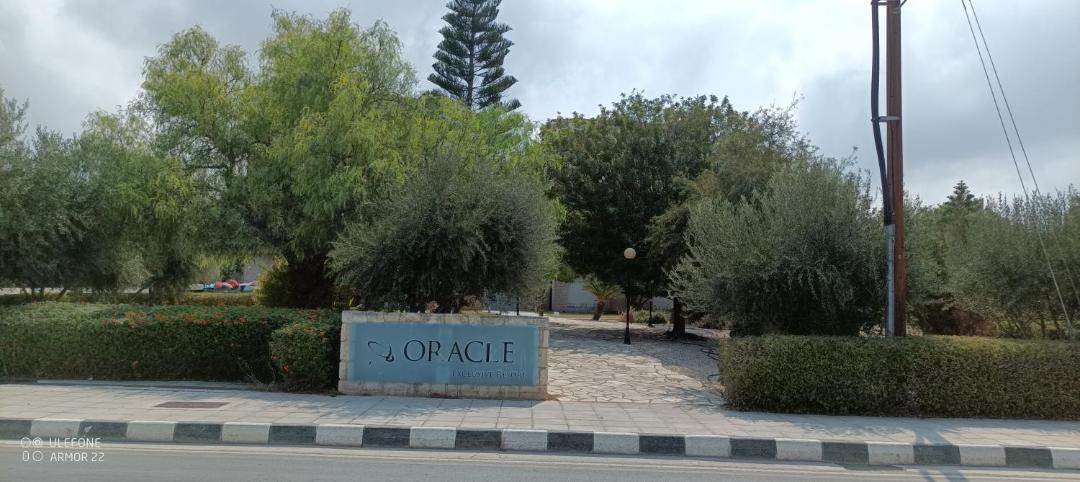 Photo of Others in Paphos