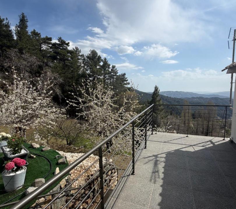 Photo of Others in Prodromos