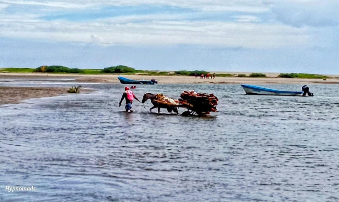 Photo of Others in Poneloya