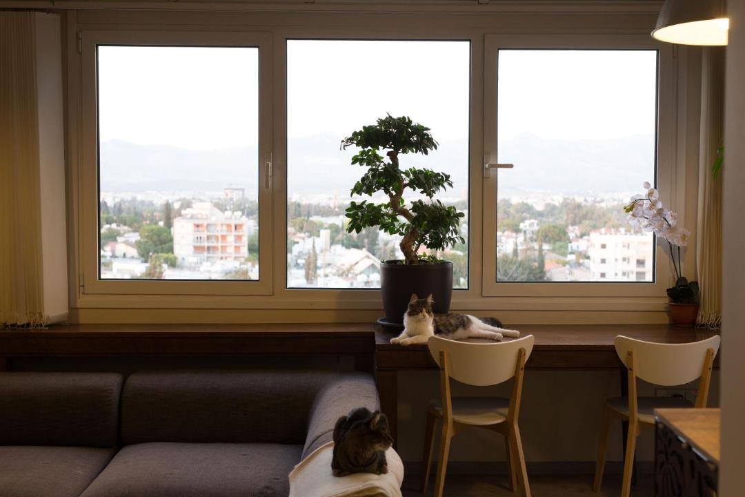 Photo of Others in Nicosia