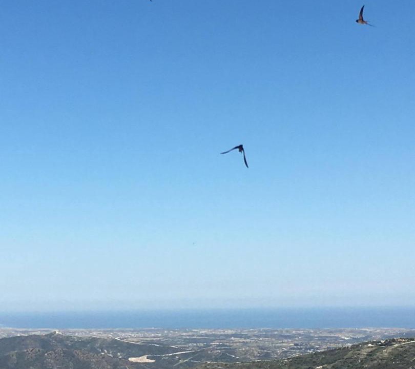 Photo of Others in Pano Lefkara