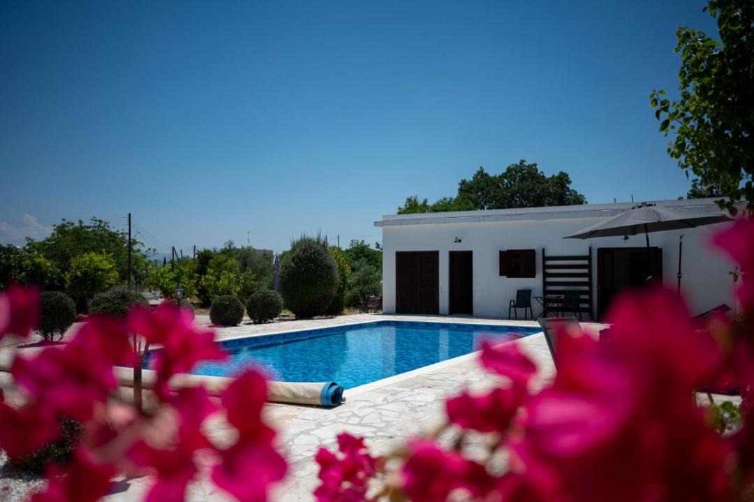 Photo of Others in Pano Akourdalia