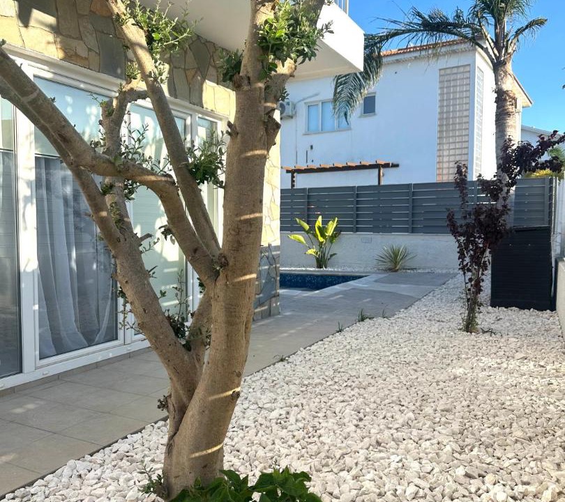 Photo of Others in Paralimni