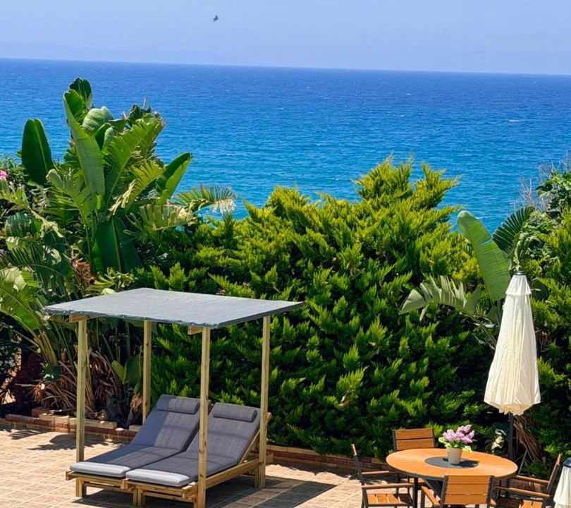 Photo of Others in Pomos