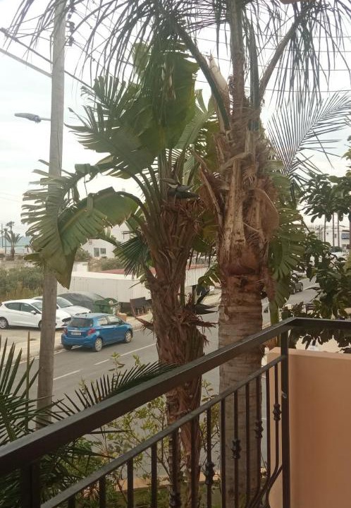 Photo of Patio Balcony in Oroklini