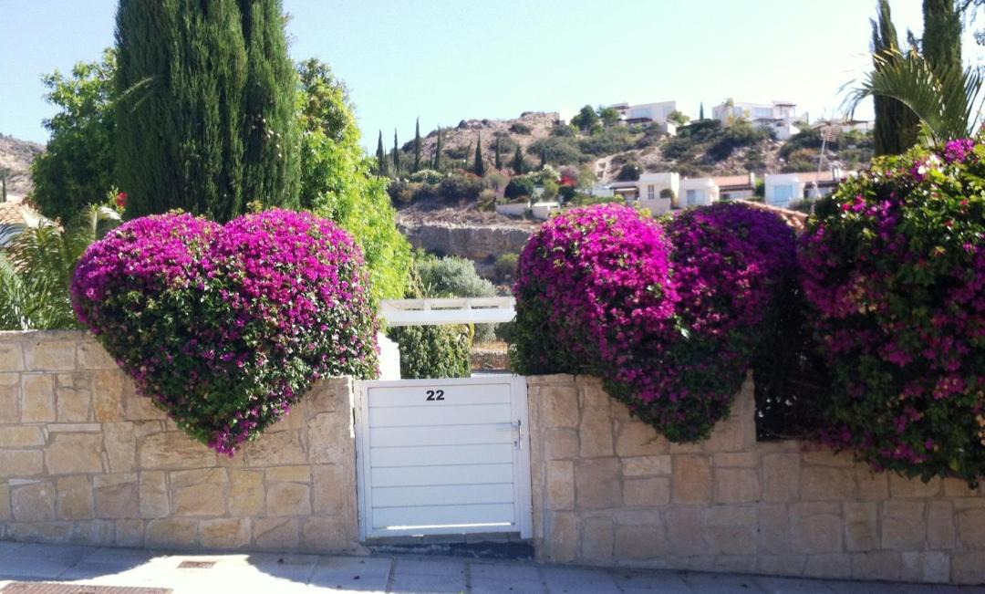 Photo of Others in Pissouri