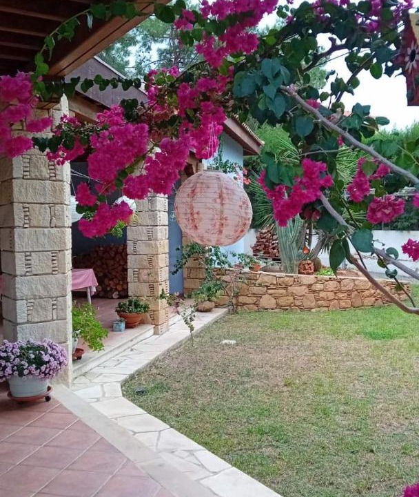 Photo of Others in Agios Athanasios