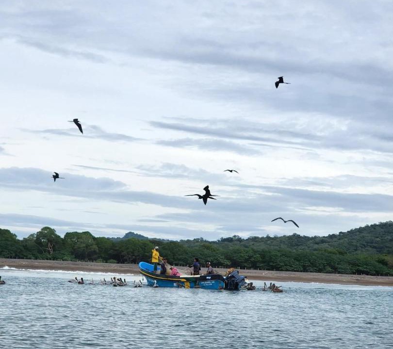 Photo of Others in Playa Gigante