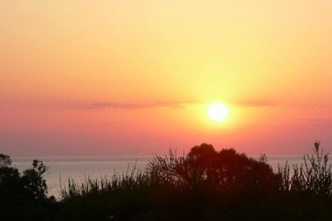 Photo of Others in Cape Greko