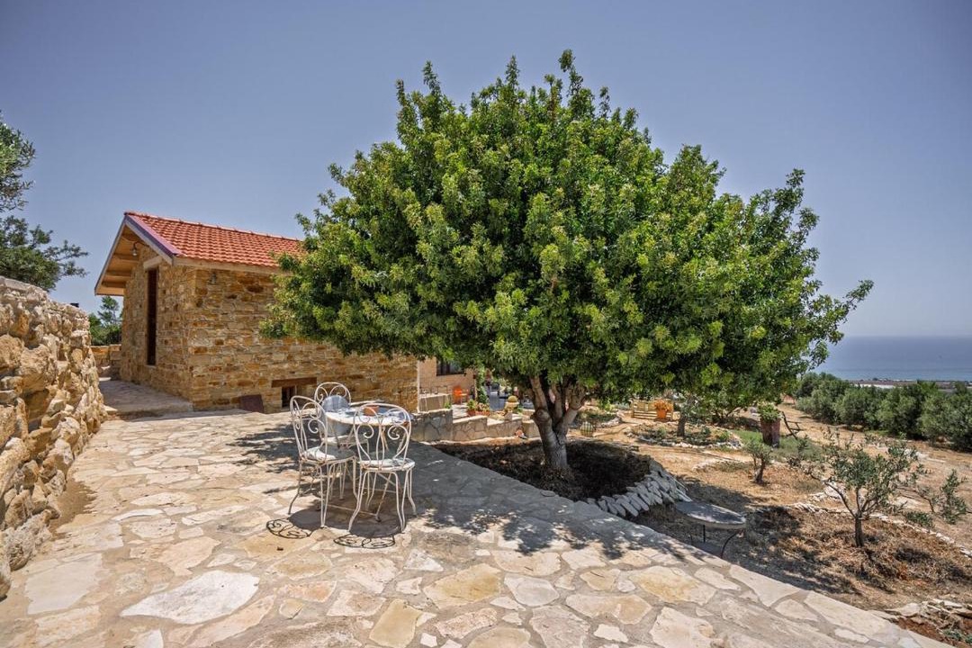 Photo of Others in Agios Theodoros