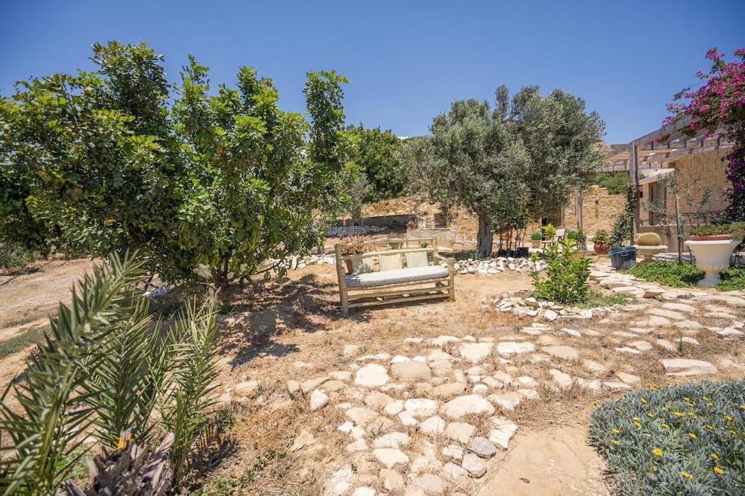 Photo of Others in Agios Theodoros