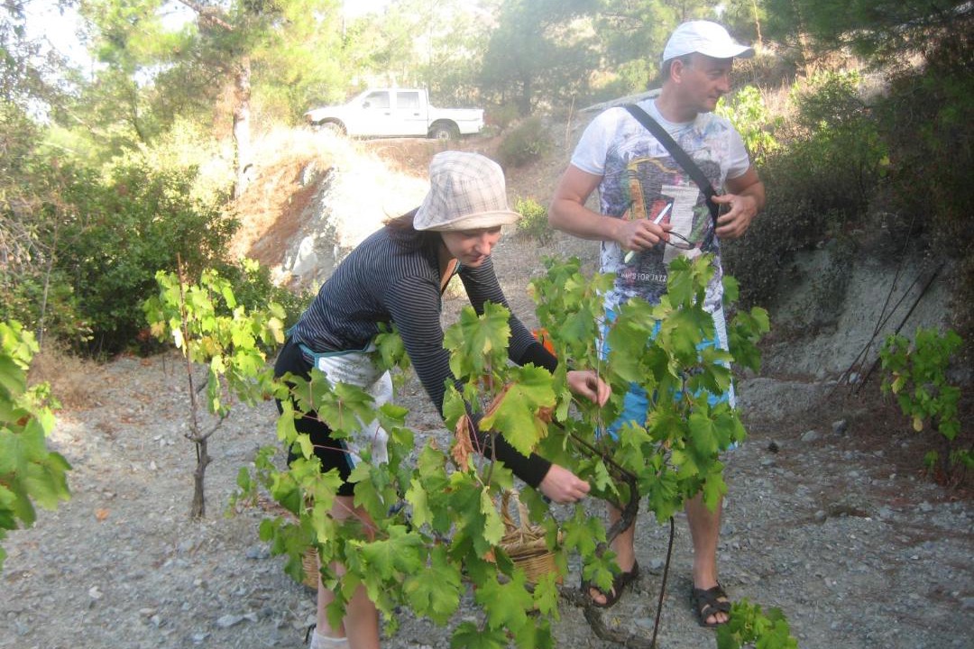 Photo of Others in Spilia