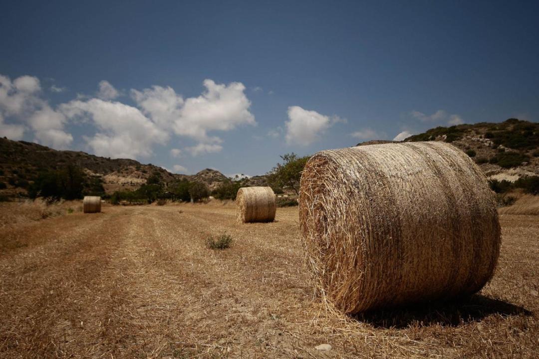 Photo of Others in Pissouri