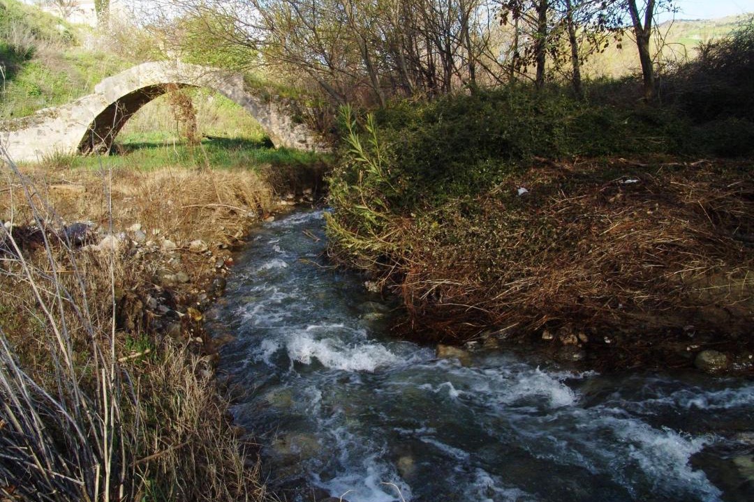 Photo of Others in Simou