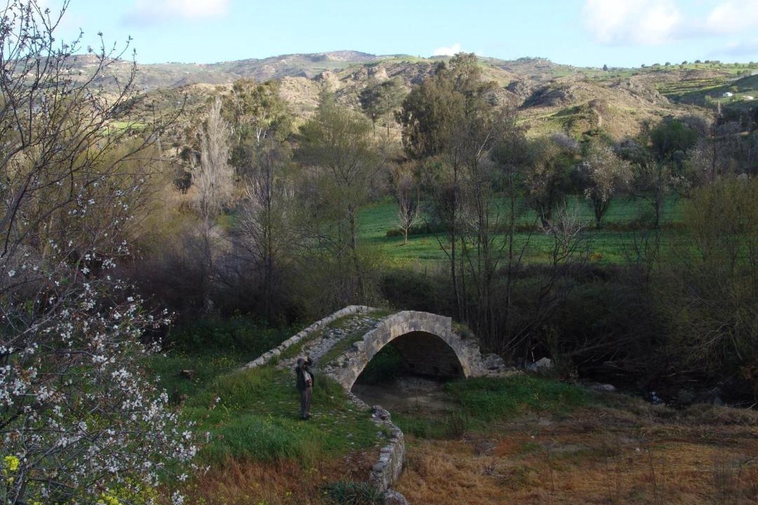 Photo of Others in Simou